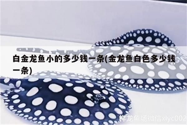 什么龍魚?。ㄐ⌒退逑洳贾弥改希? title=