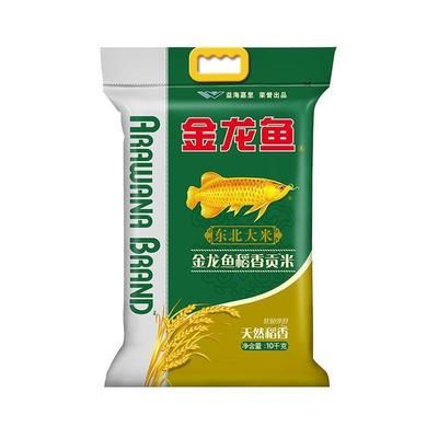 金龍魚(yú)最新產(chǎn)品是什么（\