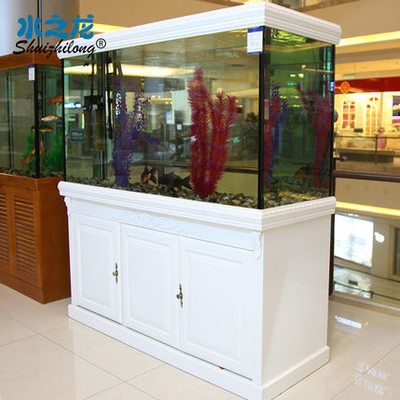 龍魚什么地方購買便宜點（花鳥魚市、大型水族店、網(wǎng)購平臺或?qū)I(yè)漁場購買龍魚）