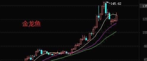 金龍魚走勢分析報告（金龍魚公司股價波動較大分析其走勢主要受市場情緒及行業(yè)競爭等因素影響） 龍魚百科 第3張