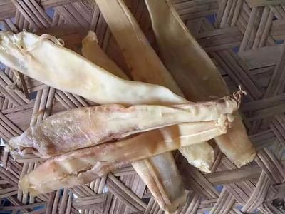 金龍魚魚膠是什么魚（金龍魚魚膠與石首魚膠的區(qū)別金龍魚魚膠與石首魚膠的區(qū)別）