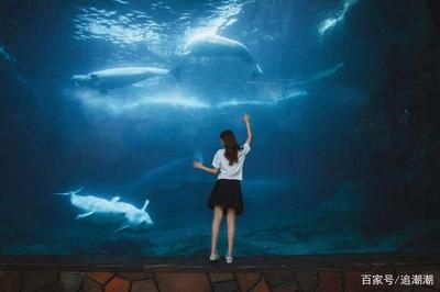 用戶反饋對水族館運(yùn)營影響（用戶反饋對水族館的影響） 水族館百科（水族館加盟） 第4張