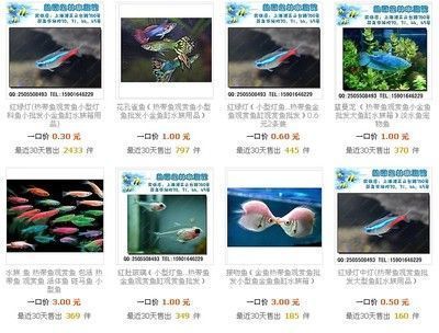 祥龍水族館海洋生物科普課程（海洋生物科普課程）