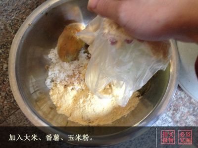 黃金貓魚幼魚飼料自制方法（自制黃金貓魚幼魚飼料的方法）