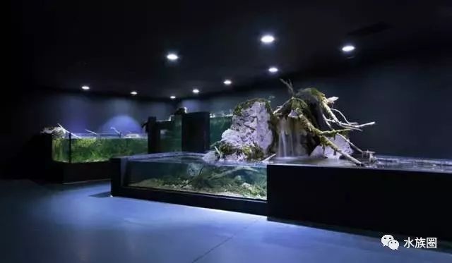 水族館內(nèi)巖石造景建議（水族箱巖石造景案例分享，）