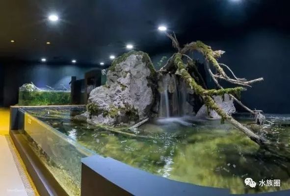 水族館內巖石造景建議（水族箱巖石造景案例分享，） 水族館百科（水族館加盟） 第3張