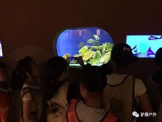 夜間水族館特別活動內容（夜間水族館特別活動是一項吸引游客的獨特體驗） 水族館百科（水族館加盟） 第2張