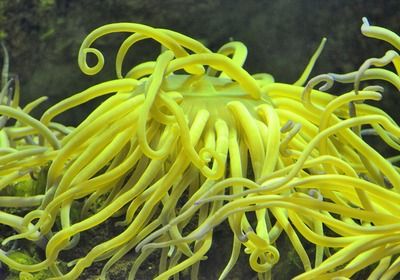 祥龍水族館門票價格及優(yōu)惠（祥龍水族館門票價格及優(yōu)惠信息）