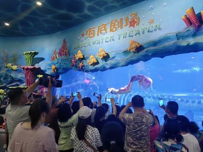 祥龍水族館親子活動時間表（祥龍水族館為家庭提供了一系列親子活動時間表，旨在促進家庭成員之間的互動和理解） 水族館百科（水族館加盟） 第4張