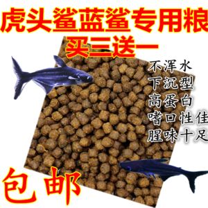 黃金貓魚繁殖飼料選擇指南（金魚繁殖飼料選擇指南）