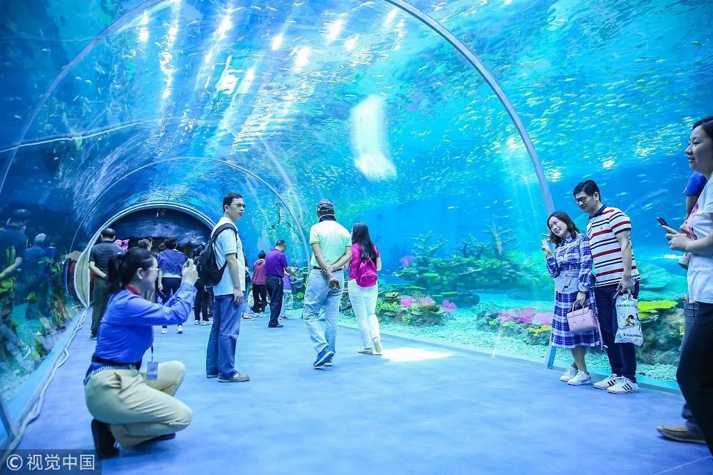 水族館行業(yè)投資機(jī)會分析（水族館行業(yè)發(fā)展前景如何？） 水族館百科（水族館加盟） 第4張