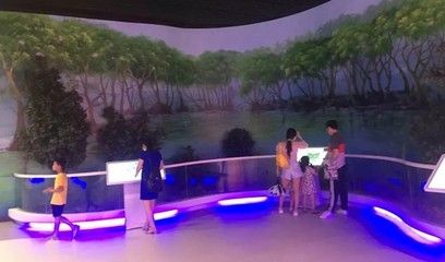 祥龍水族館VR體驗(yàn)開放時(shí)間（祥龍水族館vr體驗(yàn)） 水族館百科（水族館加盟） 第2張