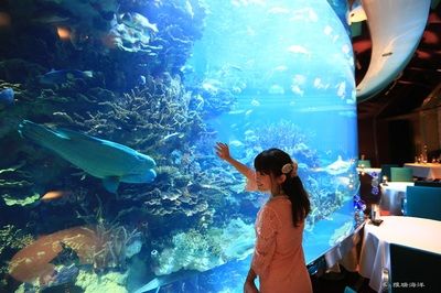 水族館生物過濾系統(tǒng)的最新進(jìn)展（水族館生物過濾系統(tǒng)的發(fā)展趨勢） 水族館百科（水族館加盟） 第4張