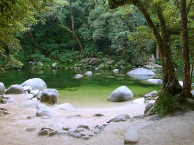 黃金貓魚(yú)幼魚(yú)營(yíng)養(yǎng)需求分析（如何自制黃金貓魚(yú)幼魚(yú)飼料，黃金貓魚(yú)幼魚(yú)生長(zhǎng)速度監(jiān)控方法） 黃金貓魚(yú)百科 第2張