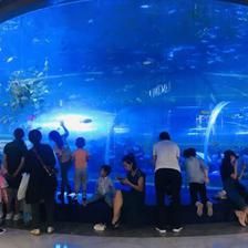 水族館行業(yè)技術(shù)創(chuàng)新趨勢(shì)（水族館行業(yè)發(fā)展趨勢(shì)） 水族館百科（水族館加盟） 第6張