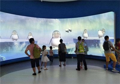 祥龍水族館VR體驗(yàn)特色介紹（祥龍水族館vr體驗(yàn)特色） 水族館百科（水族館加盟） 第3張