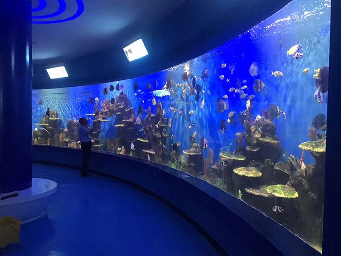 水族館行業(yè)政策支持的具體措施（中國政府對水族館行業(yè)提供了多方面的政策支持的具體措施） 水族館百科（水族館加盟） 第4張