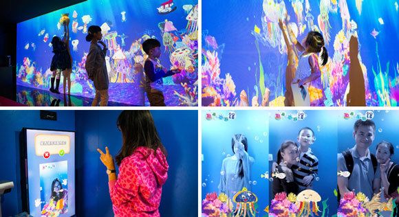 水族館市場(chǎng)營(yíng)銷(xiāo)成功案例（水族館如何運(yùn)用社交媒體、合作伙伴關(guān)系以及獨(dú)特的體驗(yàn)活動(dòng)來(lái)吸引游客）