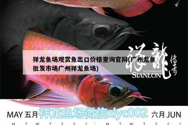 祥龍魚場(chǎng)最新報(bào)價(jià)官網(wǎng)入口（祥龍魚場(chǎng)最新養(yǎng)殖技術(shù)匯總祥龍魚場(chǎng)優(yōu)惠活動(dòng)詳情） 水族館百科（水族館加盟） 第3張