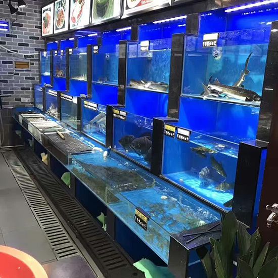 碧海鑫水族館互動(dòng)活動(dòng)安排（大慶市薩爾圖區(qū)碧海鑫水族館互動(dòng)活動(dòng)安排供您參考） 水族館百科（水族館加盟） 第4張