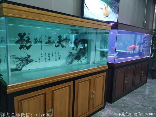 祥龍水族館品牌故事分享（上海祥龍水族館） 水族館百科（水族館加盟） 第4張