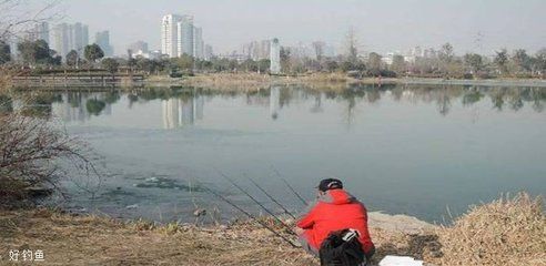 龍魚(yú)之巔論壇濾材倉(cāng)有泡沫（龍魚(yú)之巔論壇濾材倉(cāng)泡沫問(wèn)題如何處理？） 水族問(wèn)答