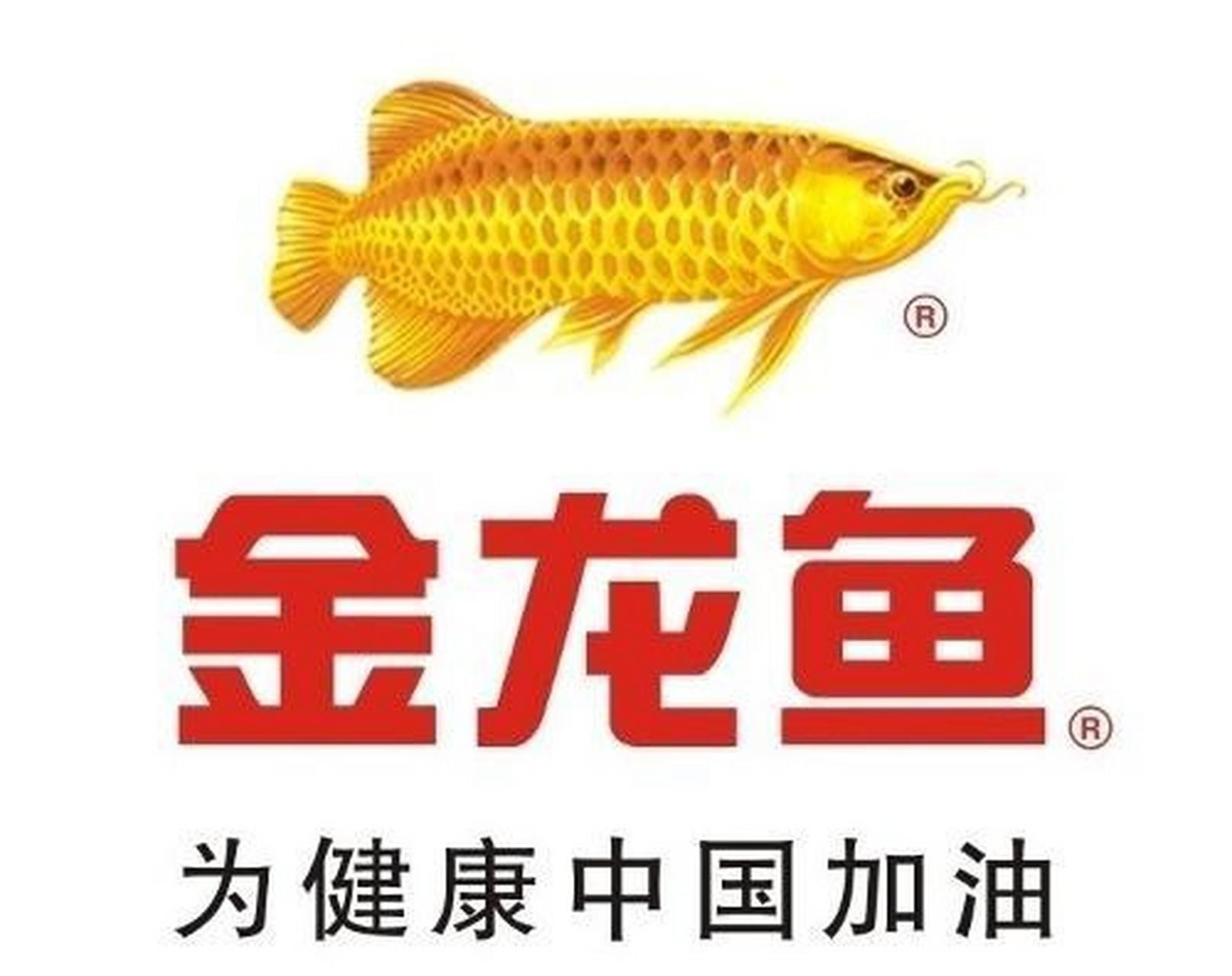 金龍魚業(yè)務(wù)代表（上海金龍魚業(yè)務(wù)代表） 龍魚百科 第4張