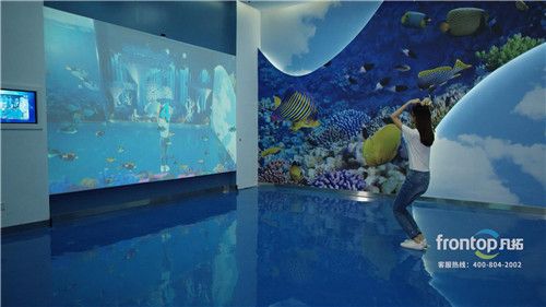 互動(dòng)投影水族館技術(shù)解析（互動(dòng)投影水族館） 水族館百科（水族館加盟） 第4張