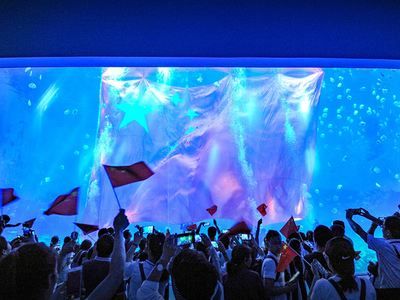 水族館觸摸池互動效果評估（水族館觸摸池互動效果的評估） 水族館百科（水族館加盟） 第4張