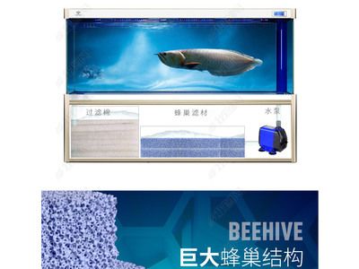 祥龍水族濾材適用場景案例（祥龍水族濾材在家庭水族箱中的應用） 水族館百科（水族館加盟） 第5張