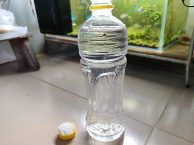 小型雷龍魚(yú)品種大全（小型雷龍魚(yú)品種介紹） 水族問(wèn)答 第2張