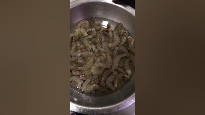 龍魚能喂大蝦嗎（如何判斷龍魚是否肥胖，龍魚喂食大蝦的最佳頻率） 龍魚百科 第3張