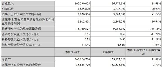 金龍魚一年掙多少錢（金龍魚2019年一年掙多少錢？） 龍魚百科 第5張