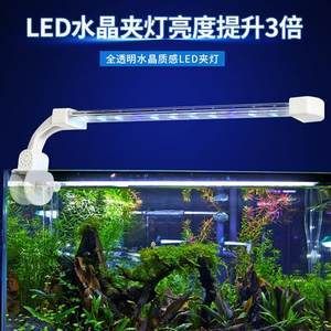 龍魚用led燈好嗎（led燈對龍魚生長的影響） 龍魚百科 第3張