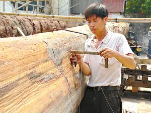 龍魚產(chǎn)地坤甸是哪里的（印度尼西亞的一個重要城市，位于加里曼丹島的西海岸） 龍魚百科 第5張