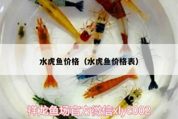 龍魚突然撞缸的原因有哪些（龍魚為什么會(huì)突然撞缸？） 水族問答