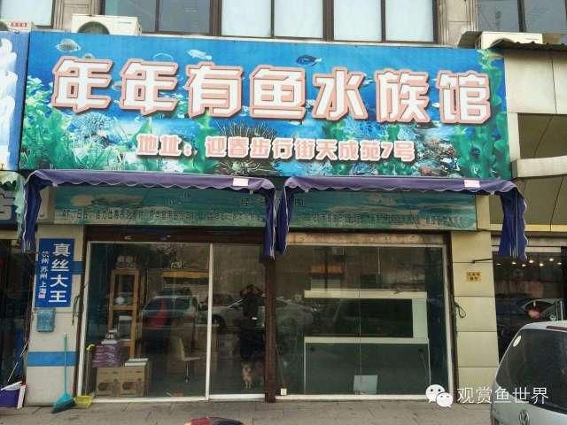 水族館加盟店賺錢嗎知乎怎么樣?。ㄋ屦^加盟店的盈利能力） 水族館百科（水族館加盟） 第5張