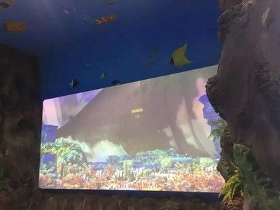 水族館免費開放（徐州市水族展覽館2023年11月13日至17日免費開放） 水族館百科（水族館加盟） 第4張