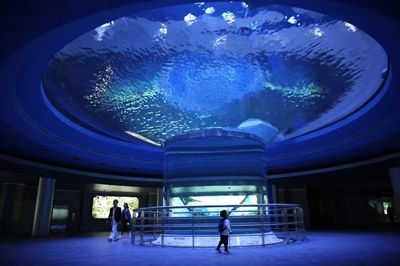 開水族館需要準(zhǔn)備什么（開水族館裝修風(fēng)格指南,水族館生物選購注意事項(xiàng)） 水族館百科（水族館加盟） 第5張