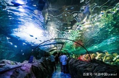 水族館制作廠家地址（水族館制作廠家地址介紹）