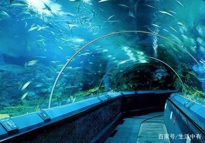 水族館制作廠家地址（水族館制作廠家地址介紹）