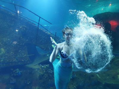 水族館有什么項目可以做（水族館主要項目介紹） 水族館百科（水族館加盟） 第5張