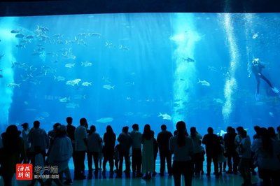 開一家水族館需要準(zhǔn)備什么東西呢（開一家水族館水箱尺寸選擇指南水族館水箱尺寸選擇指南） 水族館百科（水族館加盟） 第5張