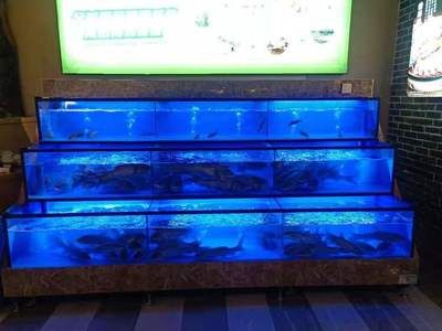 水族館買魚缸貴嗎（水族館的魚缸價格是多少） 水族館百科（水族館加盟） 第5張