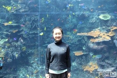 開水族館需要多少錢一個(gè)月（開設(shè)一個(gè)水族館所需費(fèi)用的大概概覽） 水族館百科（水族館加盟） 第3張