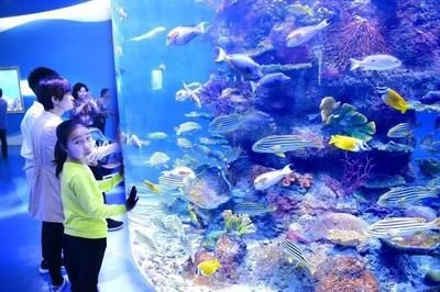 水族館名稱大全（全球知名的水族館名稱） 水族館百科（水族館加盟） 第4張