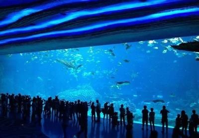 水族館名稱大全（全球知名的水族館名稱）