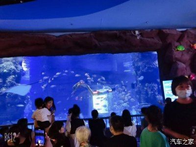 用戶反饋對水族館運(yùn)營影響