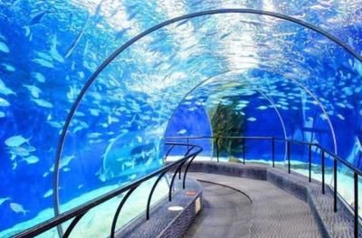 水族館是什么行業(yè)（水族館行業(yè)市場規(guī)模分析） 水族館百科（水族館加盟） 第4張