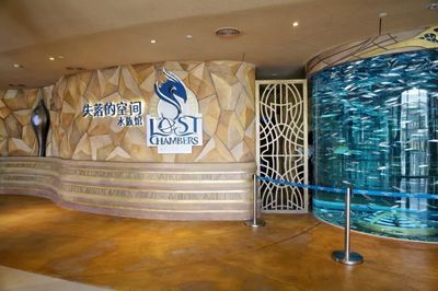 水族館店鋪名字大全（水族館名字大全）